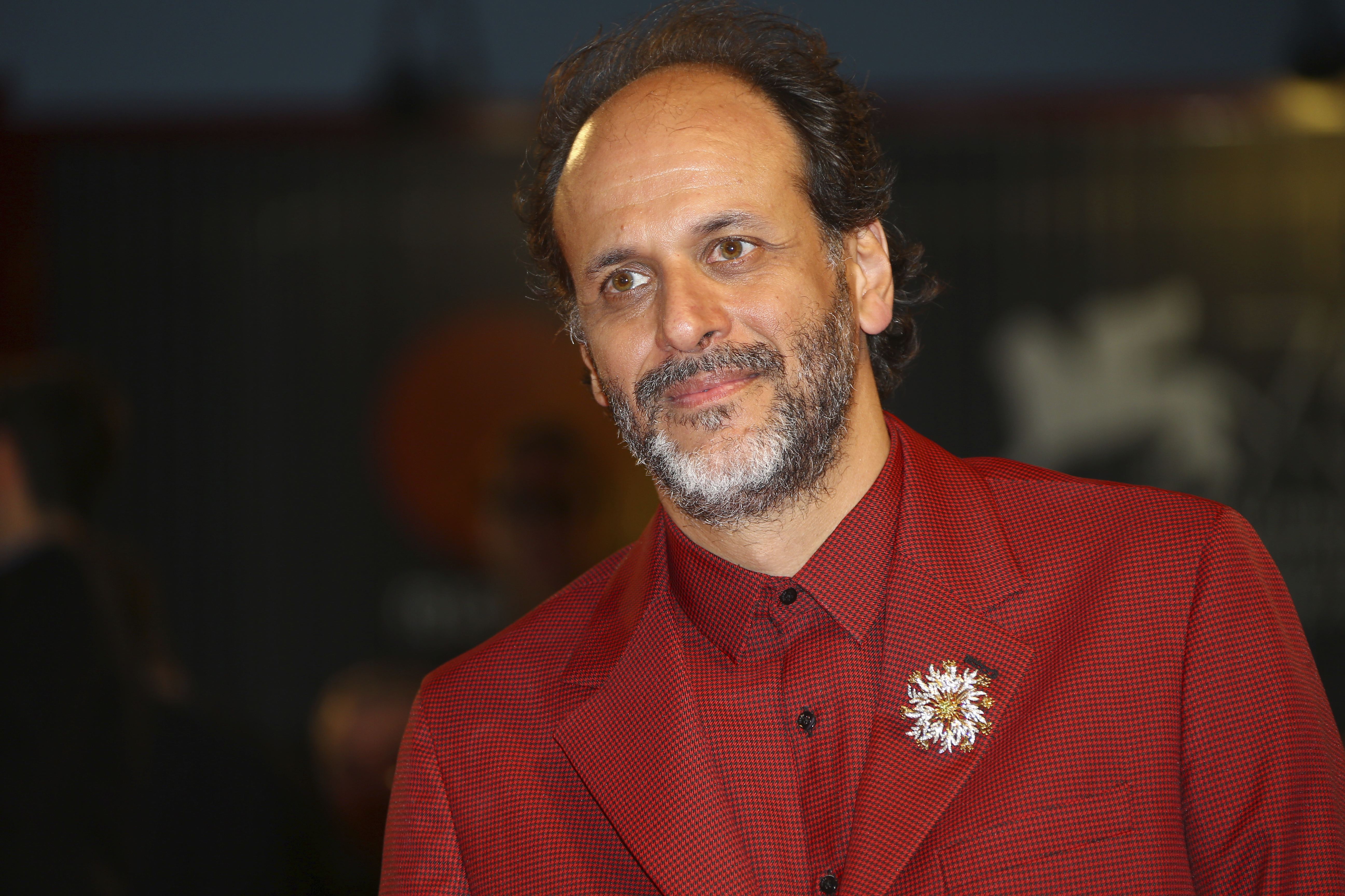 Luca Guadagnino partner